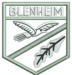 Blenheim Primary School Uniform | Cool P E T-Shirt with School Logo