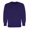 Friars primary school uniform, Southend | Purple R-neck Sweatshirts/ School Logo| Schoolwear Centres