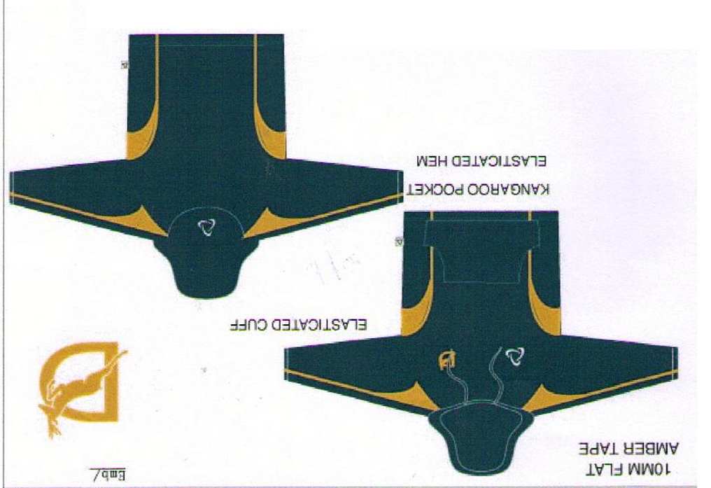 The Deanes Academy School Official Sport Hoodie with School Logo - Schoolwear Centres | School Uniforms near me