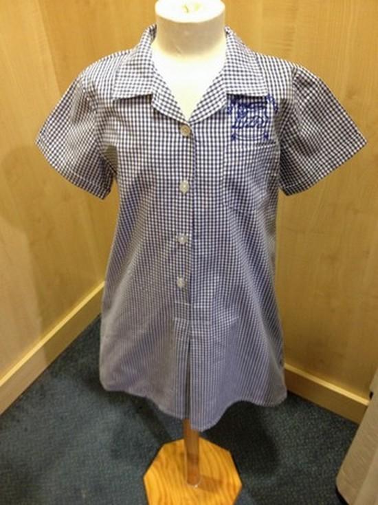 Bournes Green School - Blue/White Striped Summer Dress with School Logo - Schoolwear Centres | School Uniform Centres