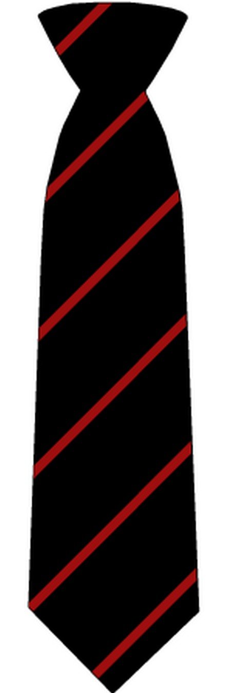 Mayflower High School Ties - Schoolwear Centres | School Uniform Centres