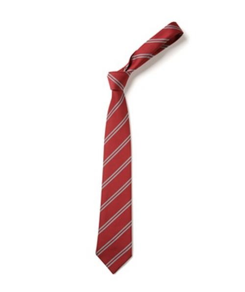 St Anne Line Catholic Juniors School - School Tie