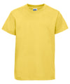 Barons Court Primary School | House Sports PE T Shirts with School Logo - Schoolwear Centres | School Uniforms near me