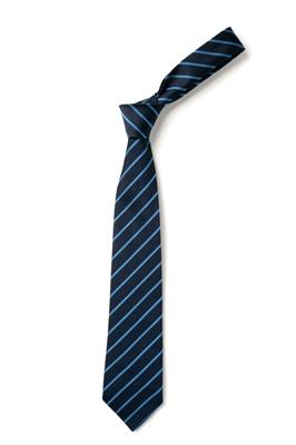 Eversley Primary Official School Ties - Schoolwear Centres | School Uniforms near me