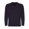 Eversley Primary Navy V-neck Knitted Jumper / School Logo