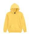 Softstyle™ midweight fleece youth hoodie