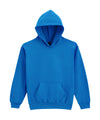 Softstyle™ midweight fleece youth hoodie