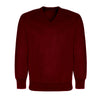 Hamstel Junior School Maroon V-neck Sweatshirts / School Logo - Schoolwear Centres | School Uniforms near me