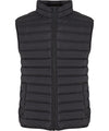 Light puffer vest