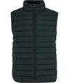Light puffer vest