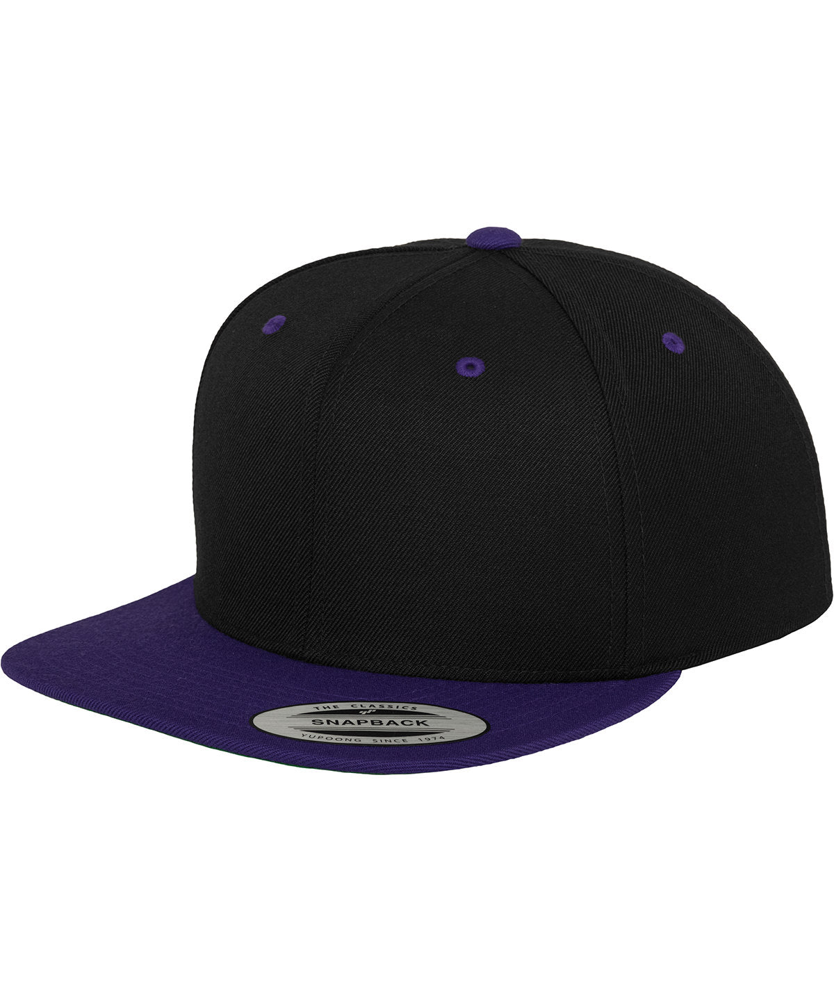 The classic snapback 2-tone  (6089MT)