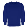 Crew (Round) Neck Sweatshirts sizes 2/3 Yrs - XL 44" - Schoolwear Centres | School Uniforms near me