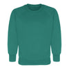 Crew (Round) Neck Sweatshirts sizes 2/3 Yrs - XL 44" - Schoolwear Centres | School Uniforms near me