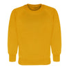 Crew (Round) Neck Sweatshirts sizes 2/3 Yrs - XL 44" - Schoolwear Centres | School Uniforms near me