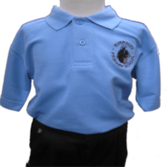 Eversley Primary School - Sky Polo Shirt with School Logo - Schoolwear Centres | School Uniform Centres
