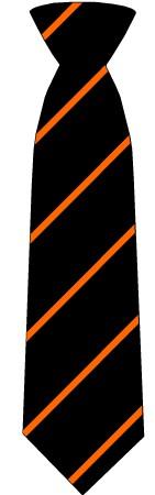 Mayflower High School Ties - Schoolwear Centres | School Uniform Centres
