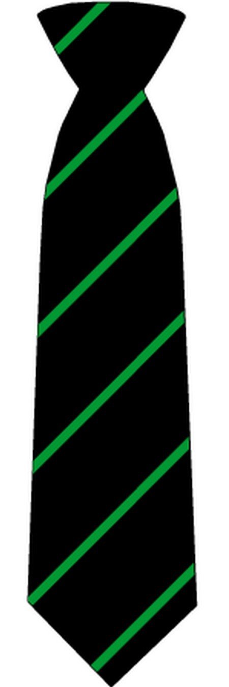 Mayflower High School Ties - Schoolwear Centres | School Uniform Centres