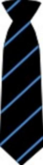 Mayflower High School Ties - Schoolwear Centres | School Uniform Centres
