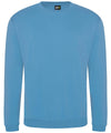 Sky Blue - Pro sweatshirt Sweatshirts ProRTX Back to Business, Must Haves, Plus Sizes, Rebrandable, Safe to wash at 60 degrees, Sweatshirts, Workwear Schoolwear Centres