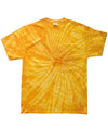 Spider Gold - Tonal spider T T-Shirts Colortone Holiday Season, Must Haves, Pastels and Tie Dye, T-Shirts & Vests Schoolwear Centres