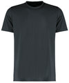 Cooltex® plus wicking tee (regular fit)