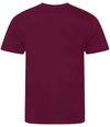 Ecologie Cascades Organic T-Shirt | Burgundy T-Shirt Ecologie style-ea001 Schoolwear Centres