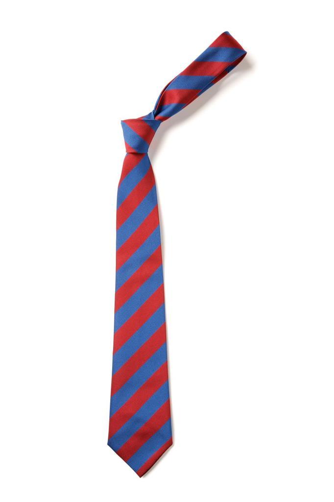 Prince Avenue Academy and Nursery | School Tie