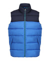 Strong Blue/Navy - Vintage puffer vest Body Warmers Regatta Professional Gilets and Bodywarmers, New Styles for 2023, Organic & Conscious, Plus Sizes, Rebrandable, Winter Essentials Schoolwear Centres