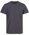 Seal Grey - Pro soft-touch cotton t-shirt T-Shirts Regatta Professional New Styles for 2023, Organic & Conscious, Plus Sizes, Rebrandable, T-Shirts & Vests Schoolwear Centres