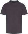 Solid Grey* - Pro t-shirt T-Shirts ProRTX 2022 Spring Edit, Back to Business, Must Haves, New Colours for 2021, New Colours for 2023, New Sizes for 2021, Plus Sizes, T-Shirts & Vests, Workwear Schoolwear Centres