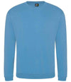 Pro RTX Pro Sweatshirt | Sky Blue Sweatshirt Pro RTX style-rx301 Schoolwear Centres