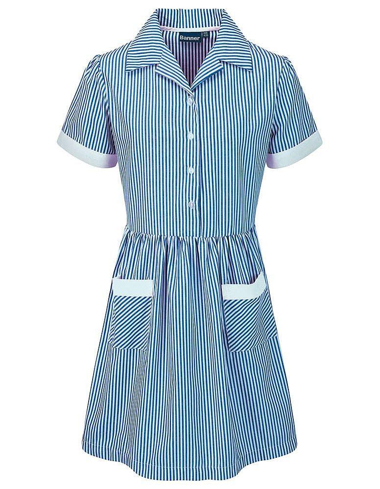 Our Lady of Lourdes Catholic Primary School | Blue Stripe Summer Dress