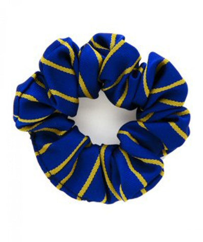 Leigh North Street Primary School - School Ties - Schoolwear Centres | School Uniform Centres